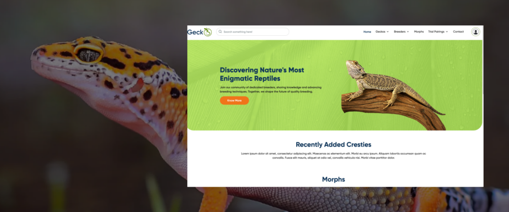 Gecko website screenshot